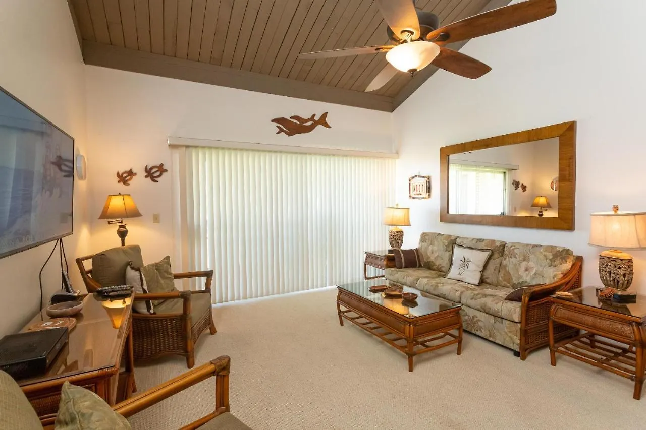 Holiday home Hale Kamaole 266 Villa Wailea