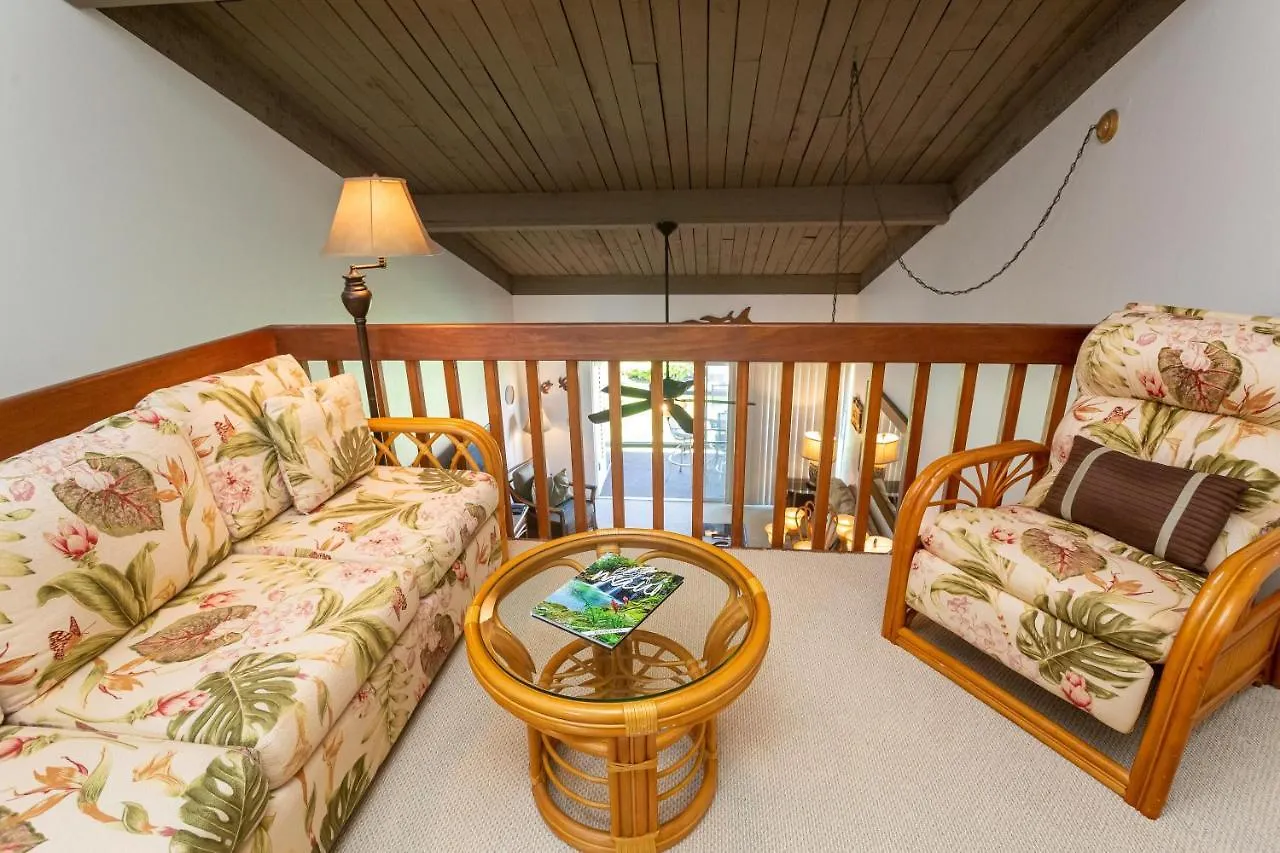 Hale Kamaole 266 Villa Wailea