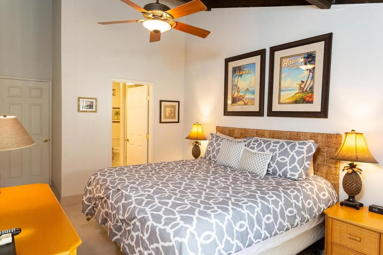 Holiday home Hale Kamaole 266 Villa Wailea