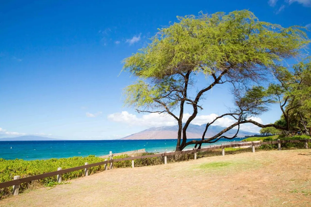 Hale Kamaole 266 Villa Wailea