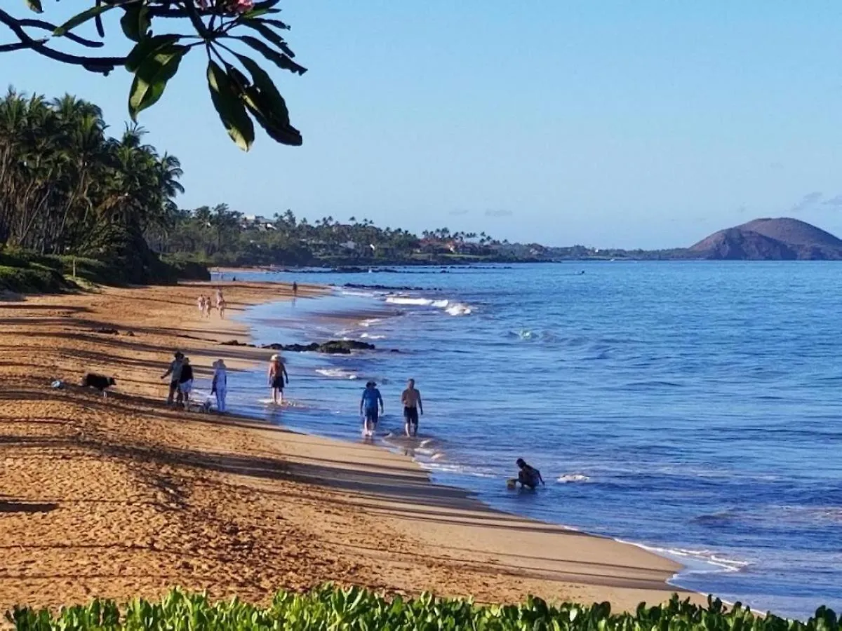 Holiday home Hale Kamaole 266 Villa Wailea