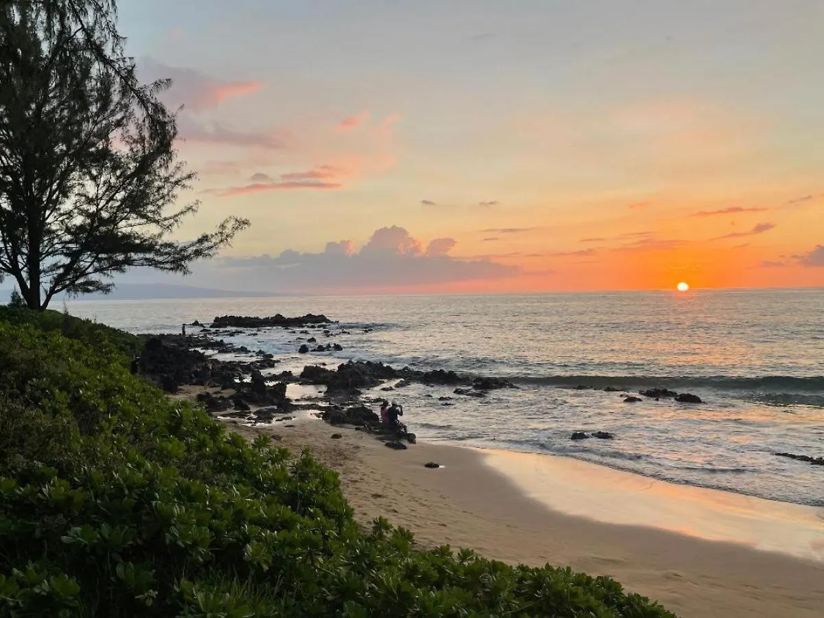Hale Kamaole 266 Villa Wailea  United States